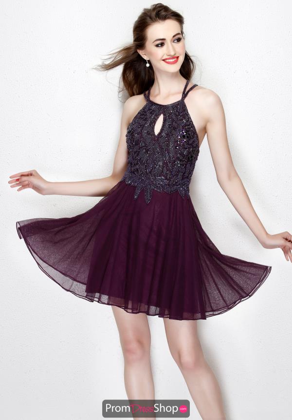 Primavera Short A Line Dress 1921