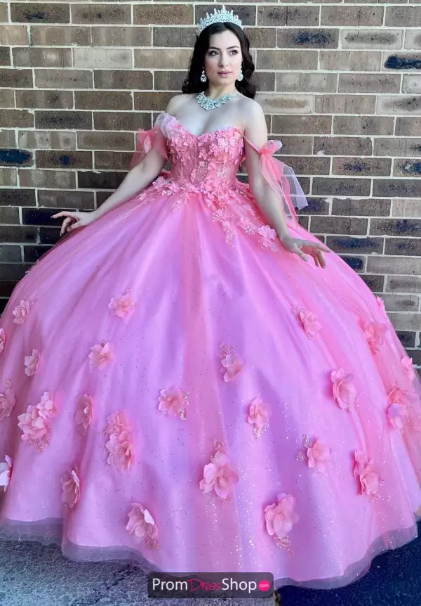 Vizcaya Quinceanera PH1005SP