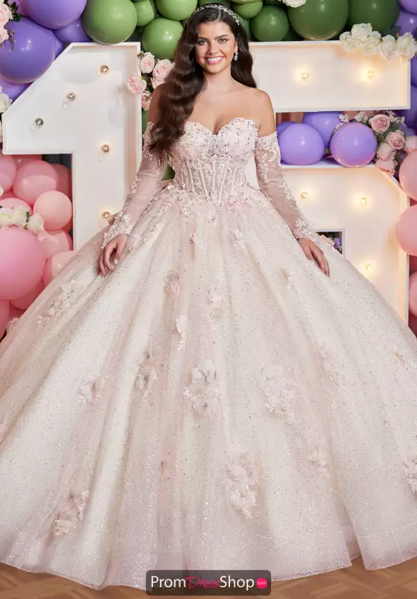 Vizcaya Quinceanera 89512