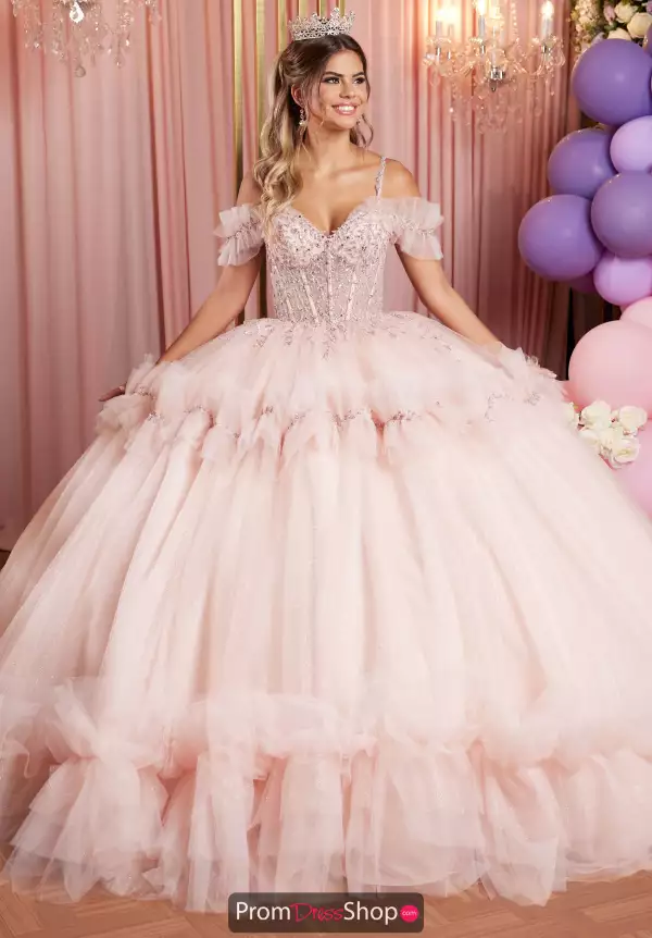 Vizcaya Quinceanera 89508