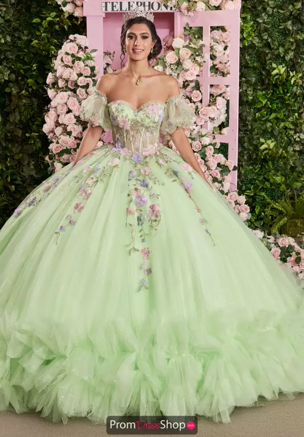 Vizcaya Quinceanera 89510