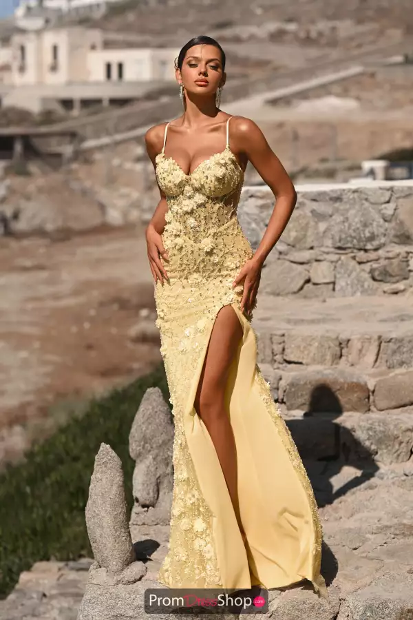 Beaded Applique Corset Dress PS25294