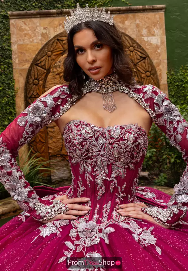 Sleeves/Necklace Only. Dress Not included.