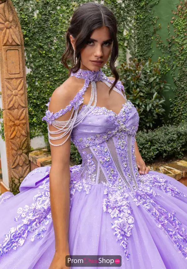 Necklace Only. Dress Not Included.