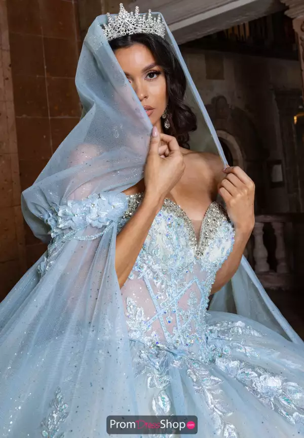 Hood/Streamers Only. Dress Not Included.