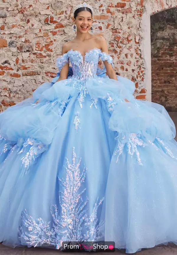 Vizcaya Quinceanera 89536