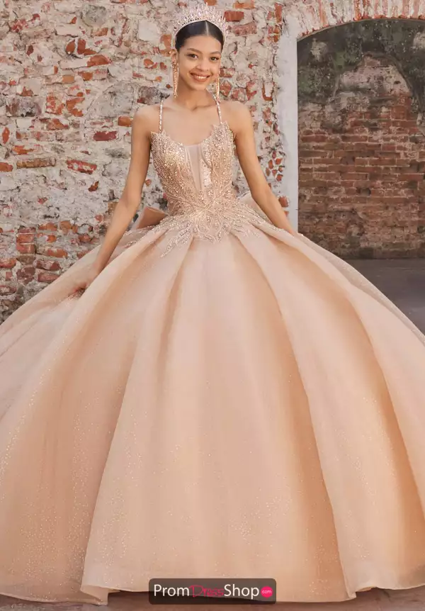 Vizcaya Quinceanera 89541