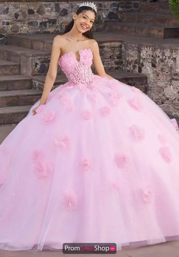 Vizcaya Quinceanera 89562