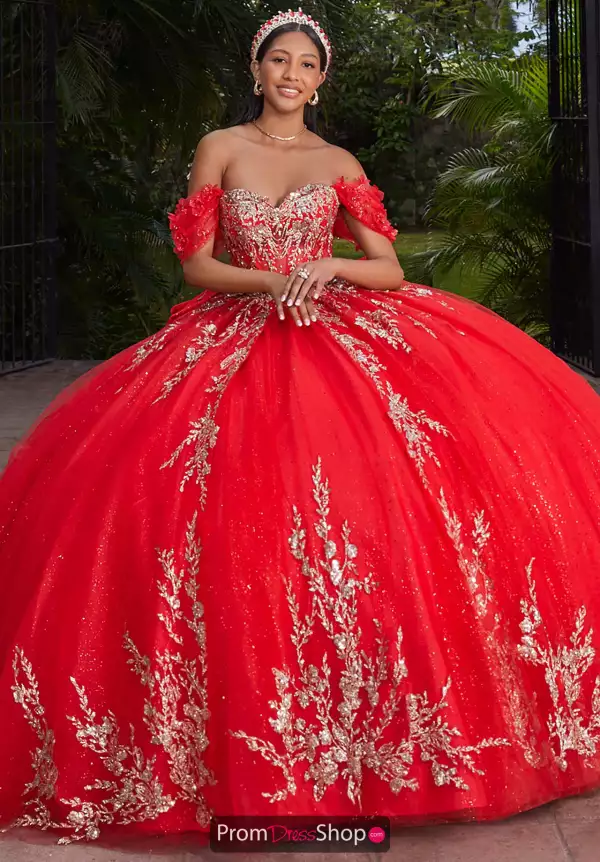 Vizcaya Quinceanera 89534