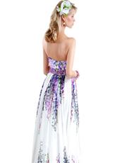Purple/Multi