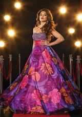 Fuchsia Multi