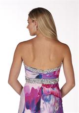 Purple/Magenta