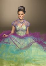 2012 Vizcaya Quinceanera Dresses