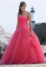 Fuschia Flash