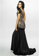 Black/Bronze