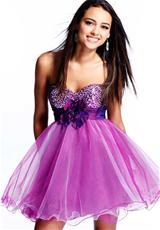Purple/Silver