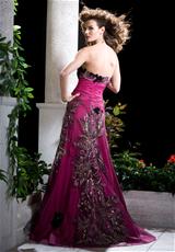 Fuchsia/Black Peacock