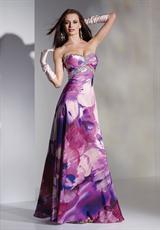 Purple/Magenta