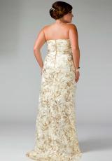 plus fabulouss ivory dress amazing dresses