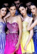 Purple, Magenta, Yellow, Royal