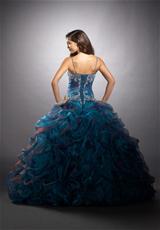 Teal/Cobalt