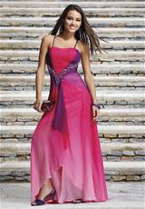 Purple/Fuchsia