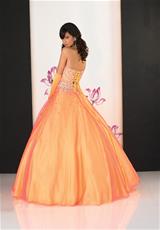 Orange/Yellow