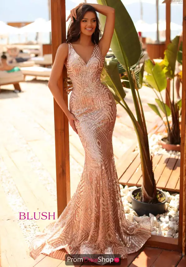 Blush Long Dress 20502
