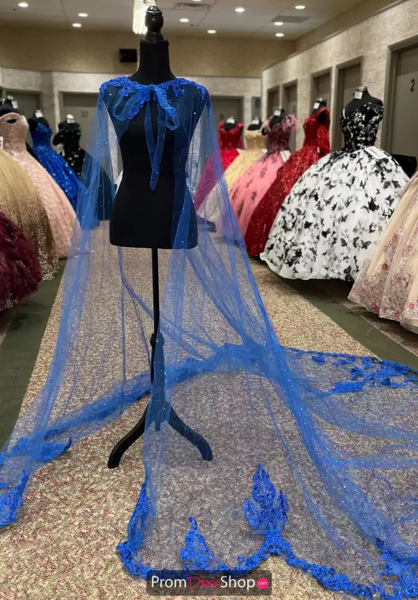 Vizcaya Quinceanera 89367