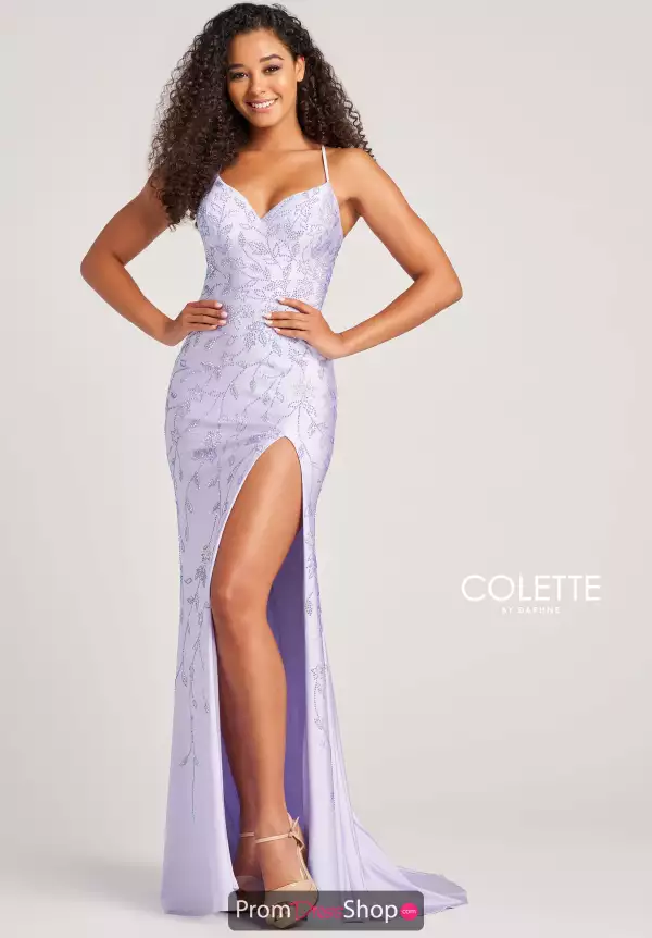 Colette Beaded Dress CL5110