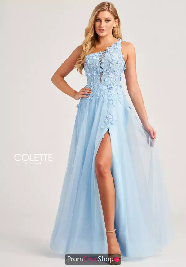 Colette Long Dress CL5124