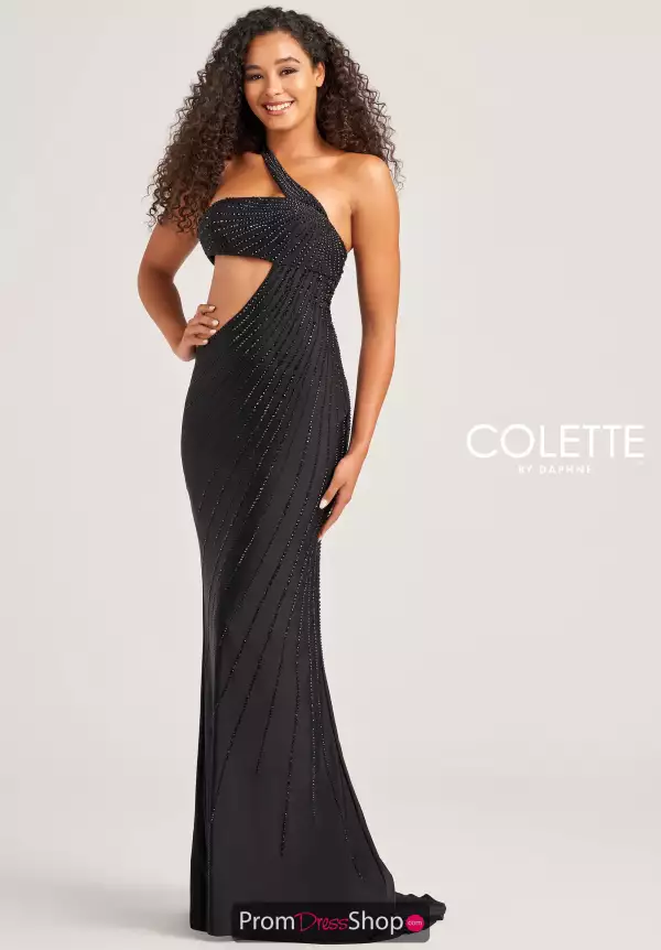 Colette Fitted Dress CL5139