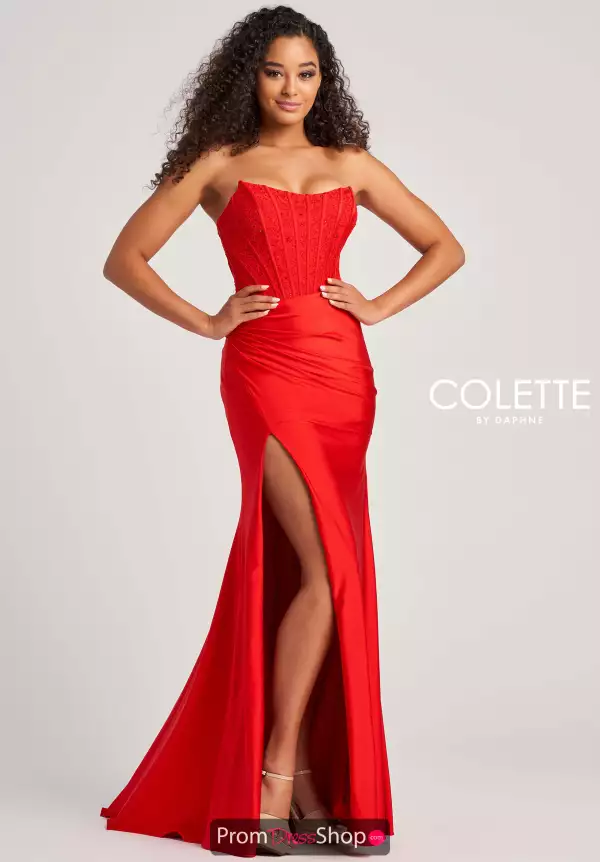 Colette Fitted Dress CL5158