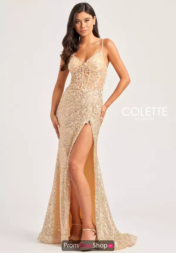 Colette Long Dress CL5177