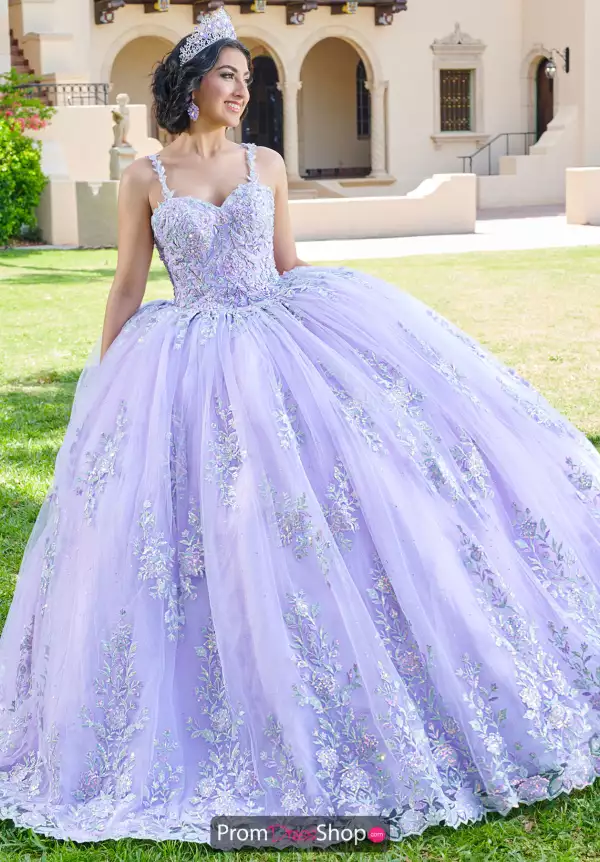 Tiffany Quinceanera Long Sleeve Dress 26074