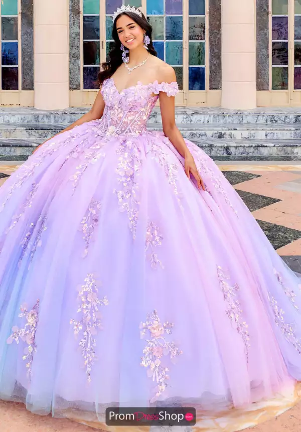 Princesa Corset Dress PR30162