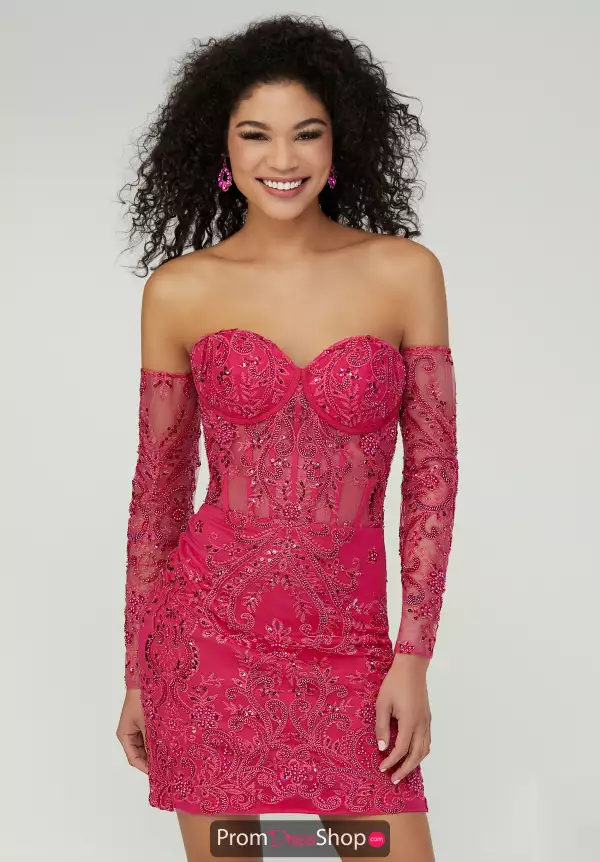 Tiffany Lace Dress 27395