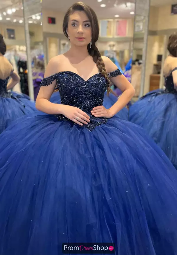 Vizcaya Quinceanera Dress 60018