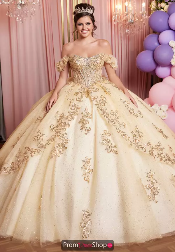 Vizcaya Quinceanera 89520