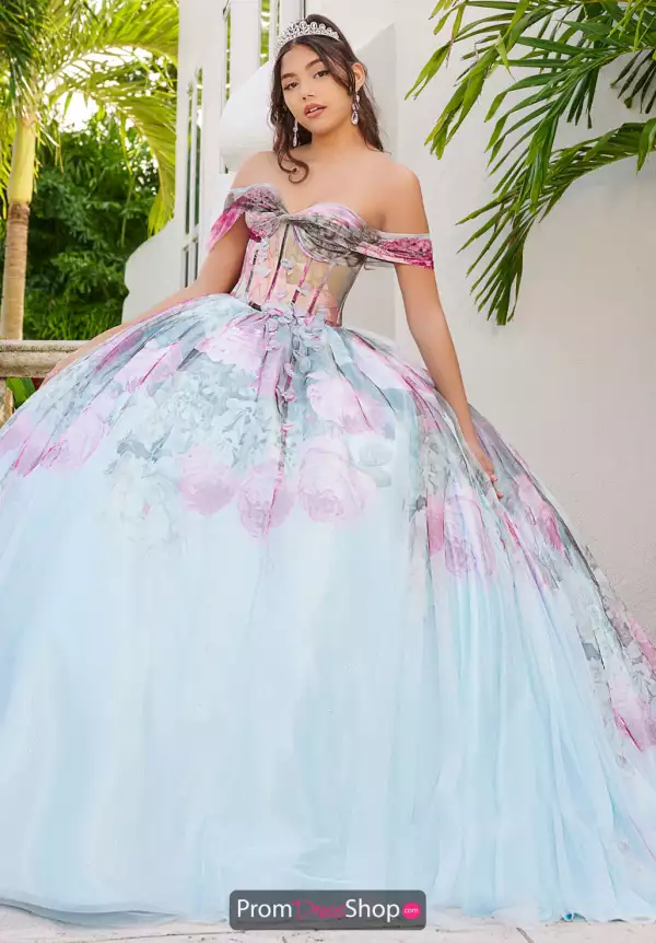 LizLuo Quinceanera Dress56520