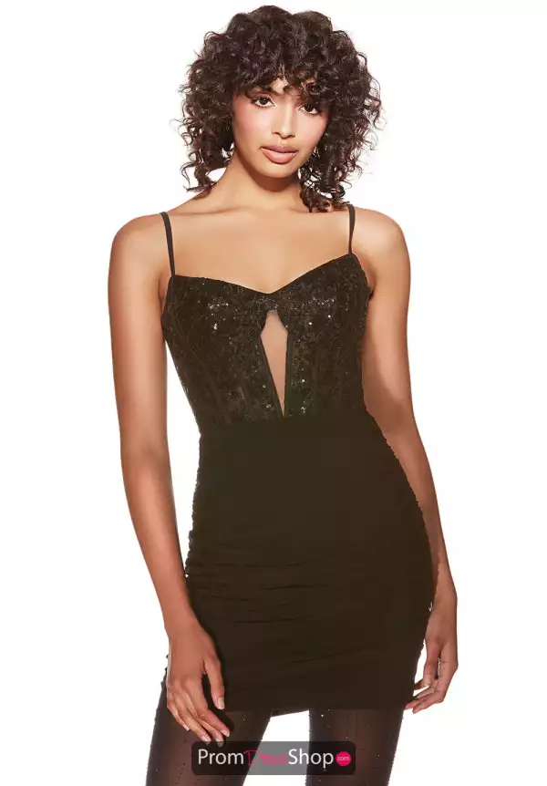 V Neckline Fitted Dress 4816