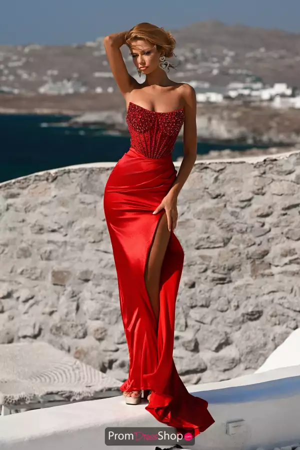 Scoop Neck Satin Corset Dress PS26041