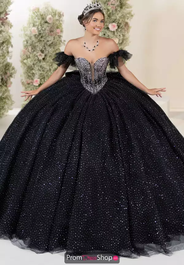 LizLuo Quinceanera 56558