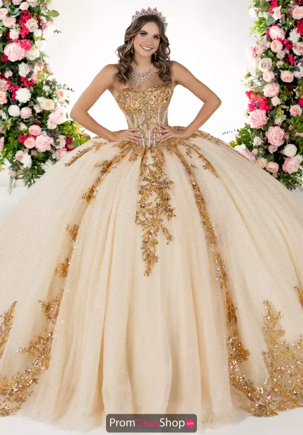 LizLuo Quinceanera 26134
