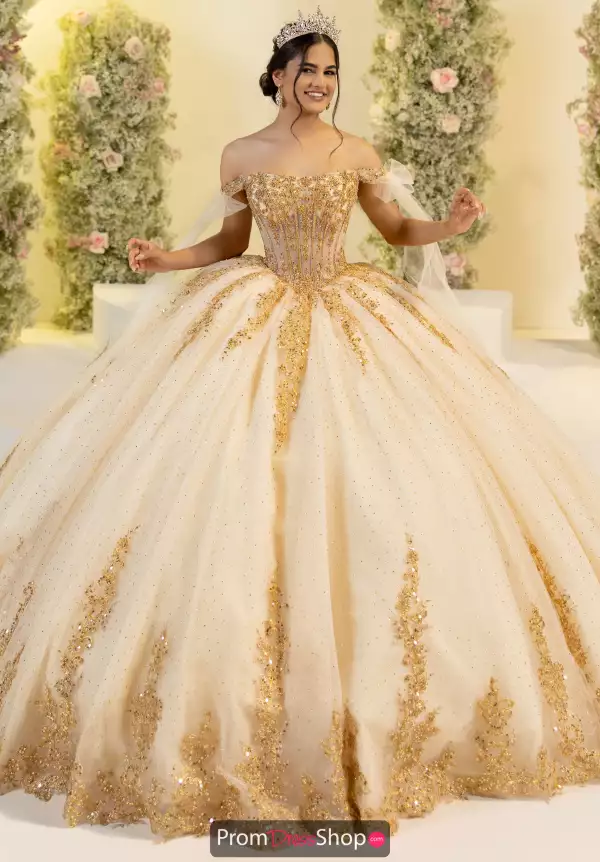 LizLuo Quinceanera 56560