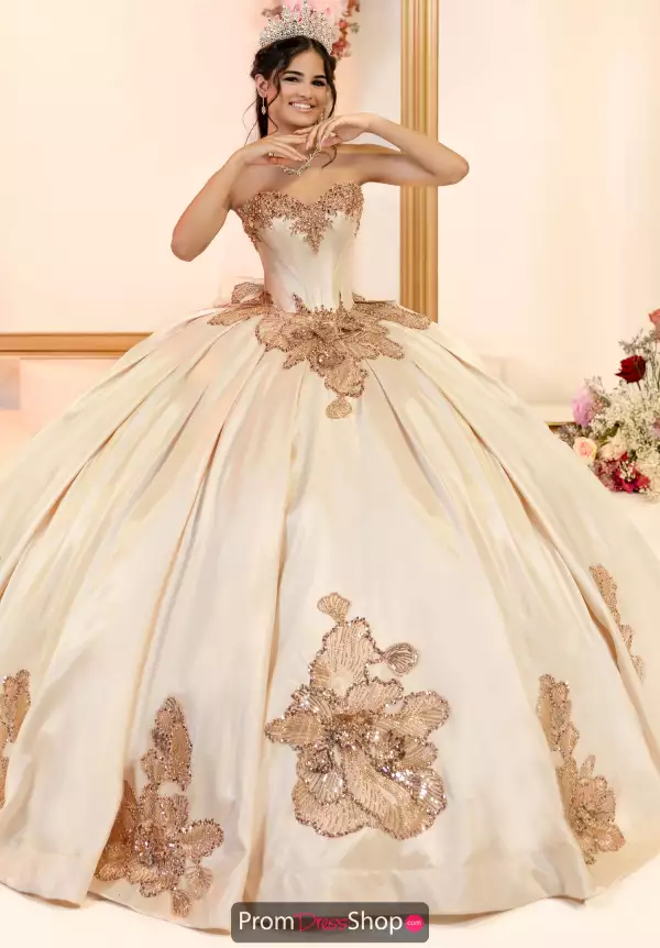 LizLuo Quinceanera 80066