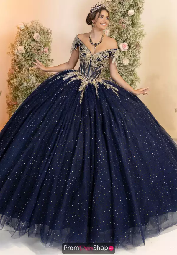 LizLuo Quinceanera 56555