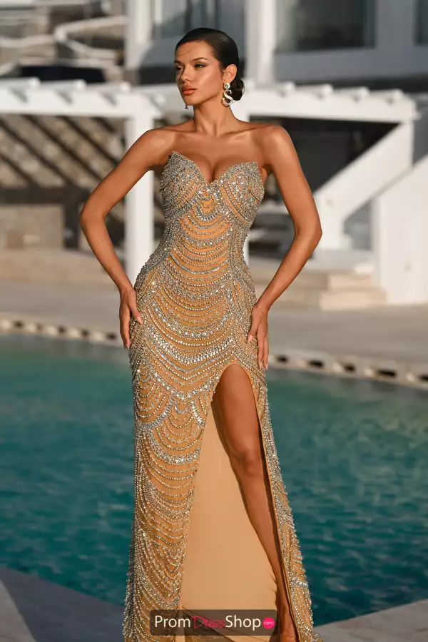 Fully Beaded Strapless Dress PS25994C
