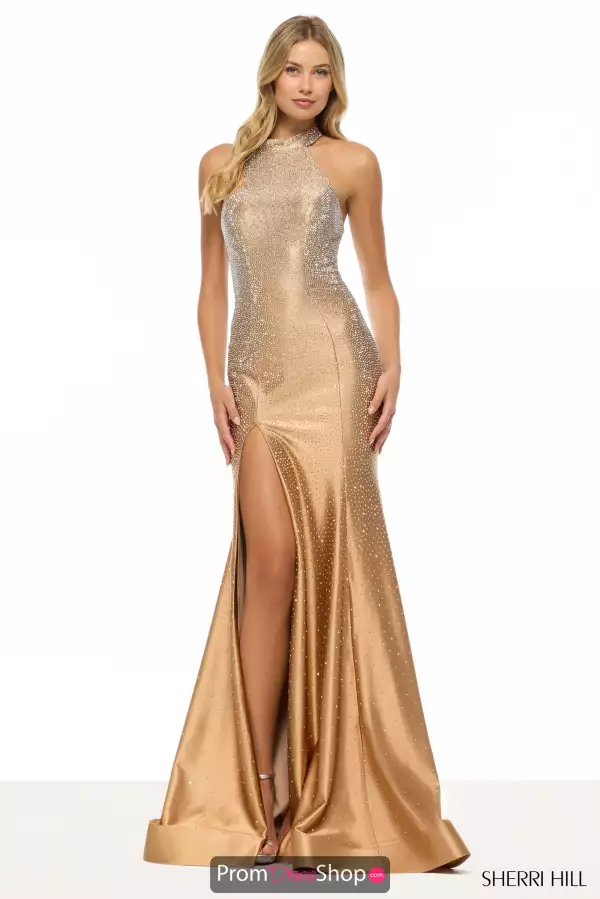 Sherri Hill 57674
