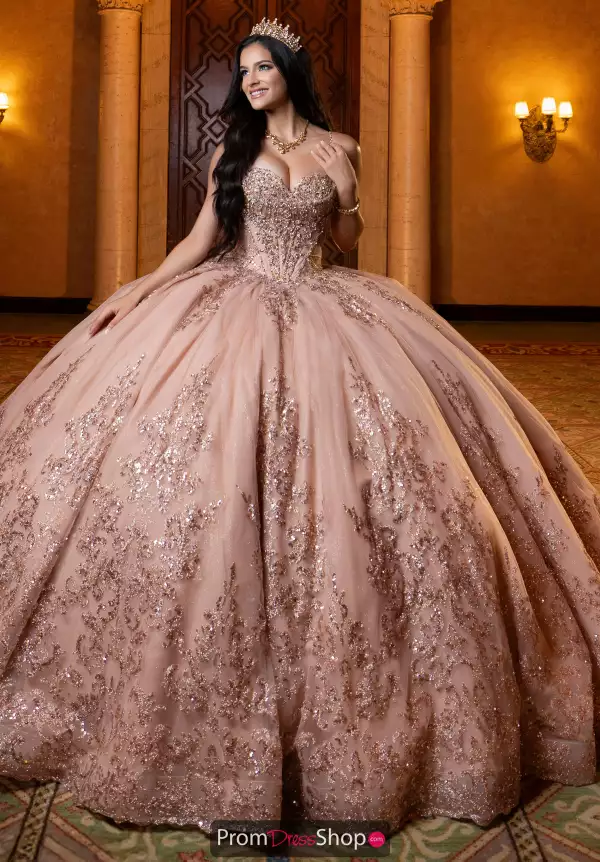 Vizcaya Quinceanera 4080013